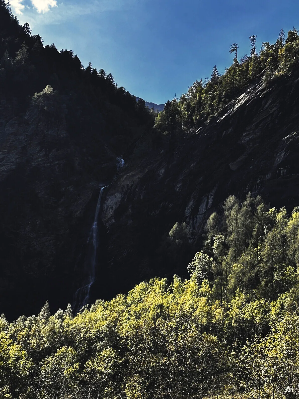 A waterfall falling down a wooded valley wall in Cevio.