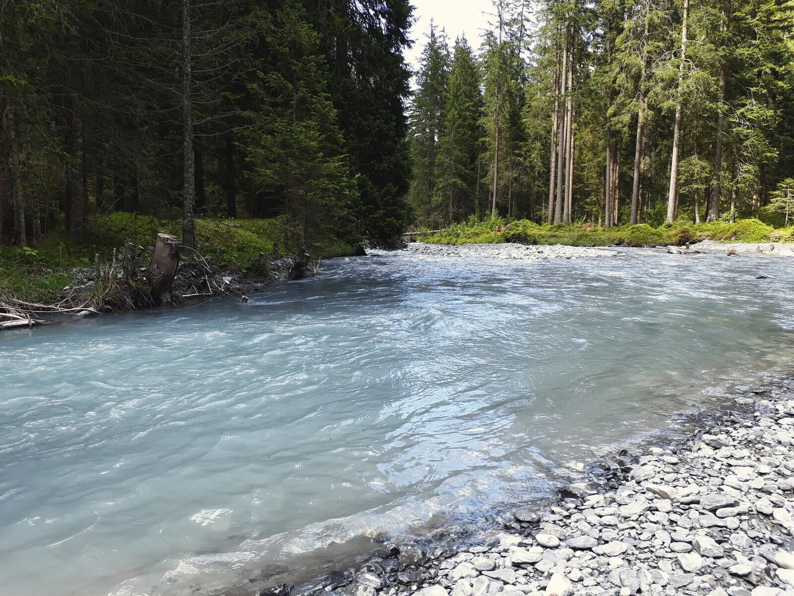 A pale glacier river running over stones below the forest.