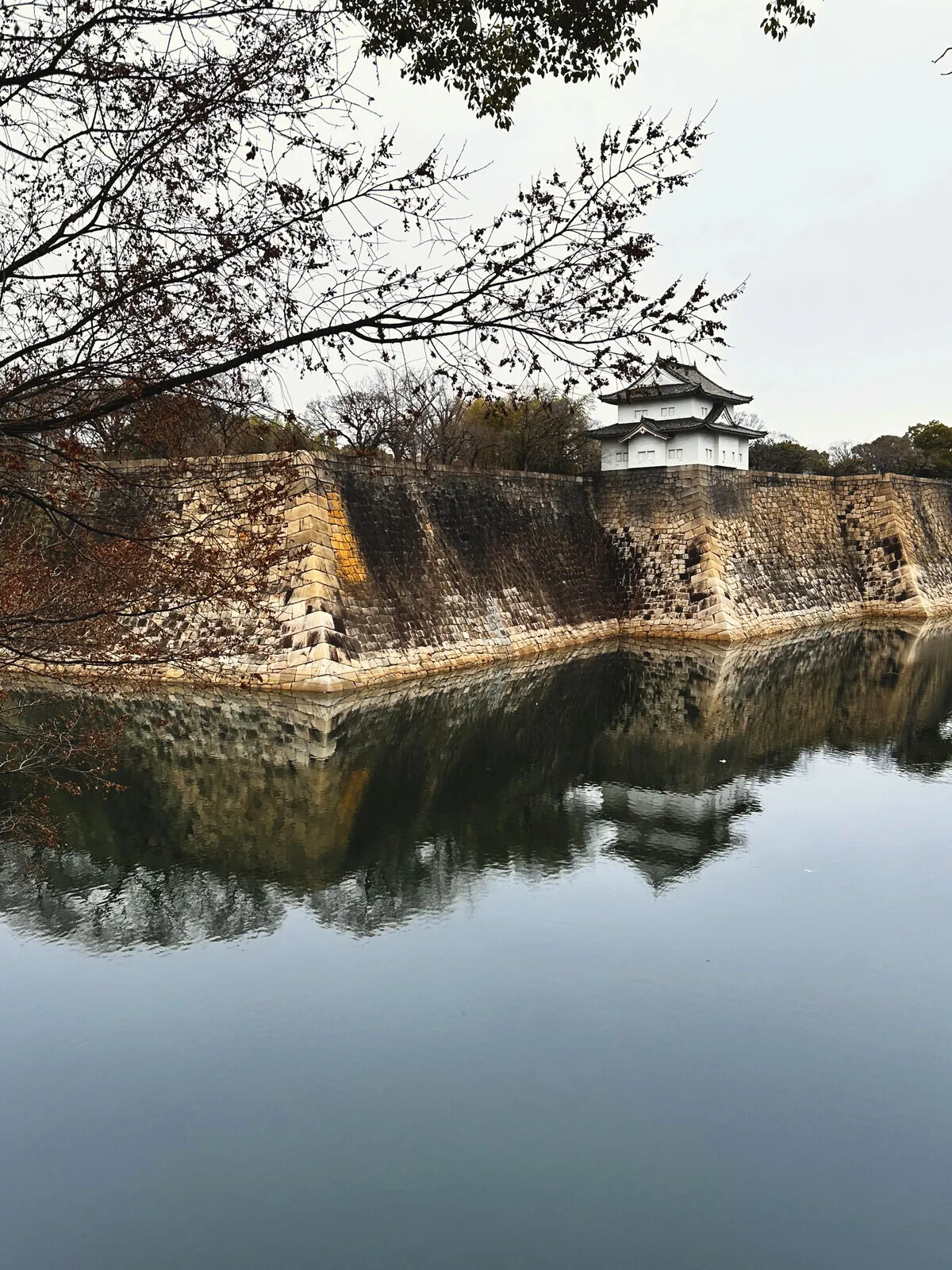 The moat and wall of Osaka castle, blossom overhead.
