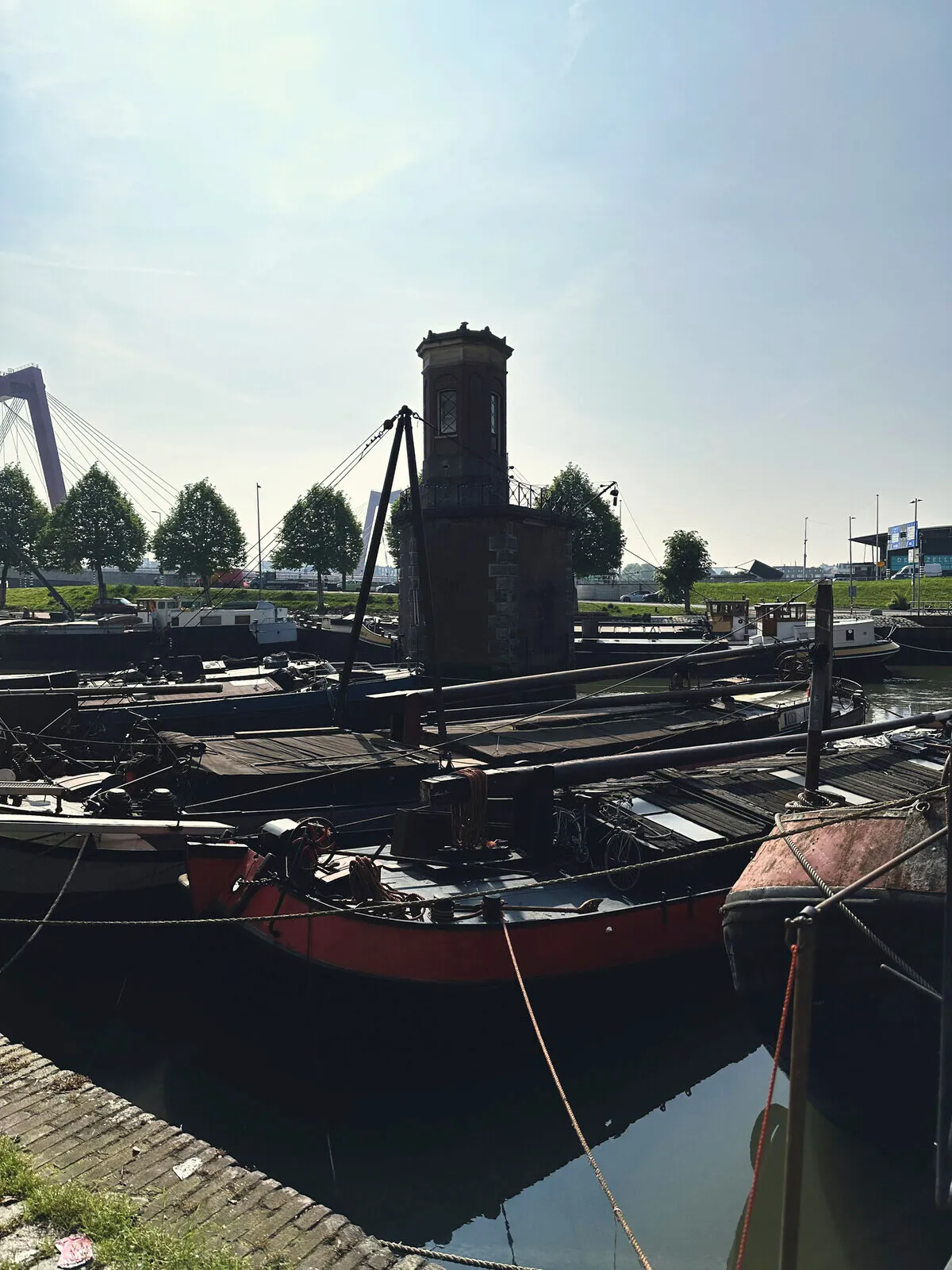 Old boats moored in a harbour in Rotterdam.